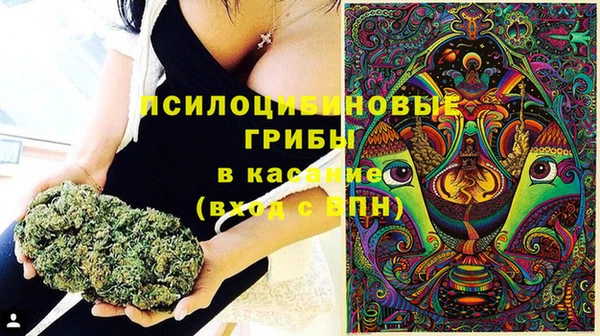 тгк Мегион