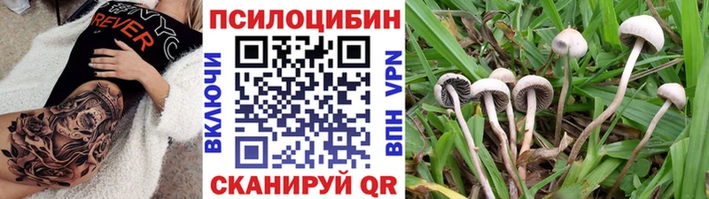 Псилоцибиновые грибы Magic Shrooms  где найти   мориарти как зайти  Мариинск  MEGA зеркало 