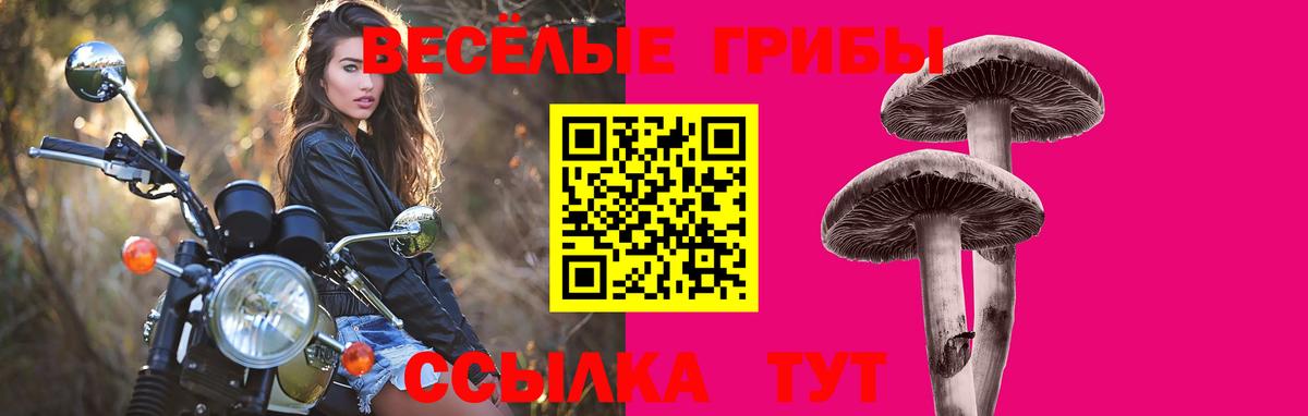 Псилоцибиновые грибы мицелий Мариинск